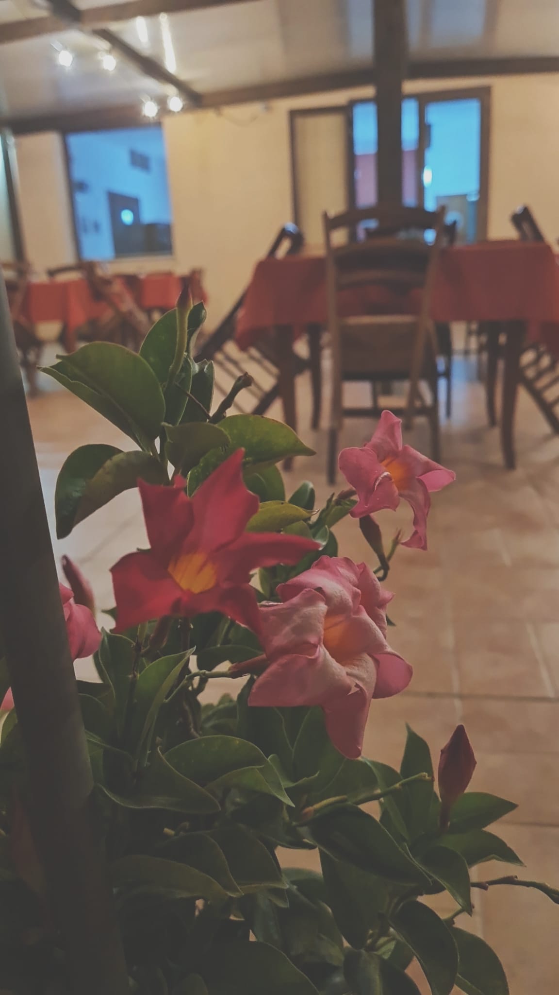 Agriturismo immerso nel verde vicino centro di Otranto