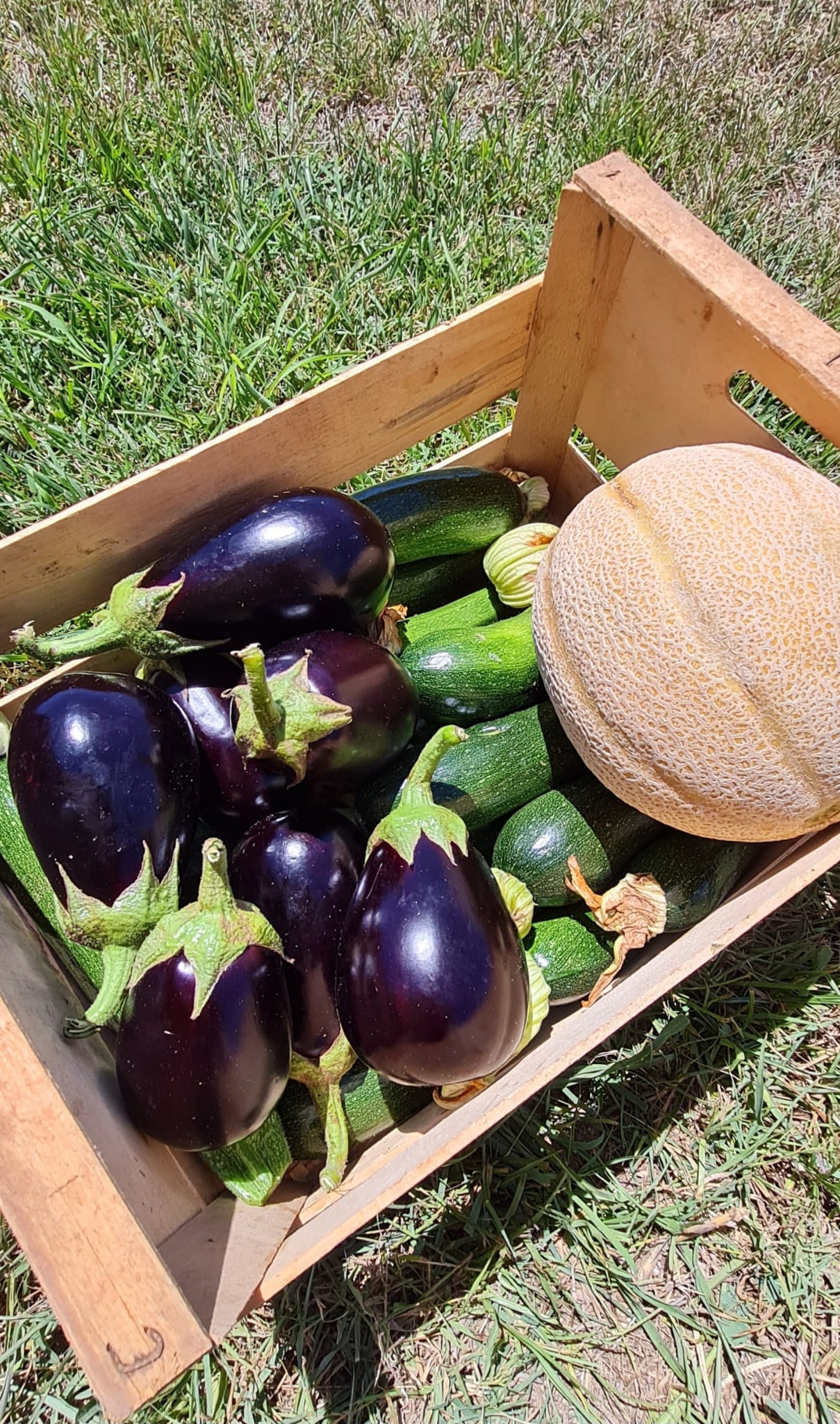 Agriturismo immerso nel verde vicino centro di Otranto